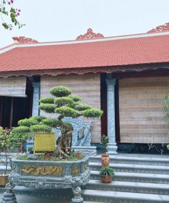 Nhà thờ họ